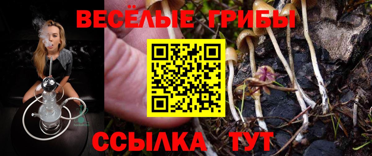 Галлюциногенные грибы MAGIC MUSHROOMS Елабуга