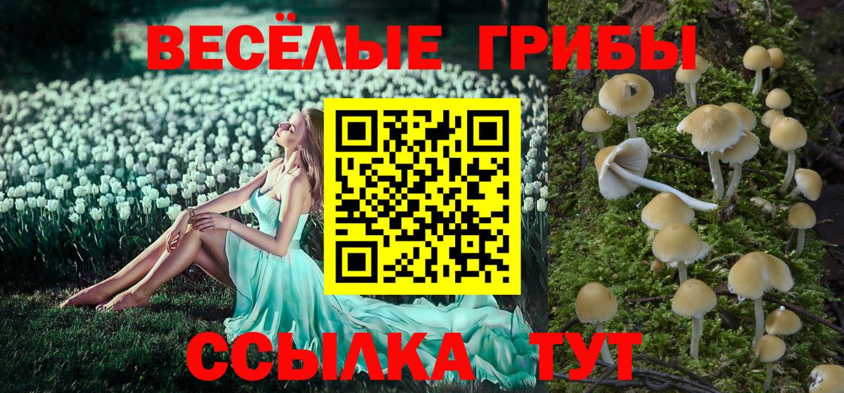 Галлюциногенные грибы мухоморы  Вход с VPN  Елабуга 
